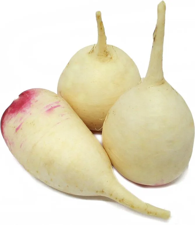 White redish