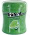 Chewing gum "Trident" 82.6g Mint