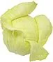 Cabbage