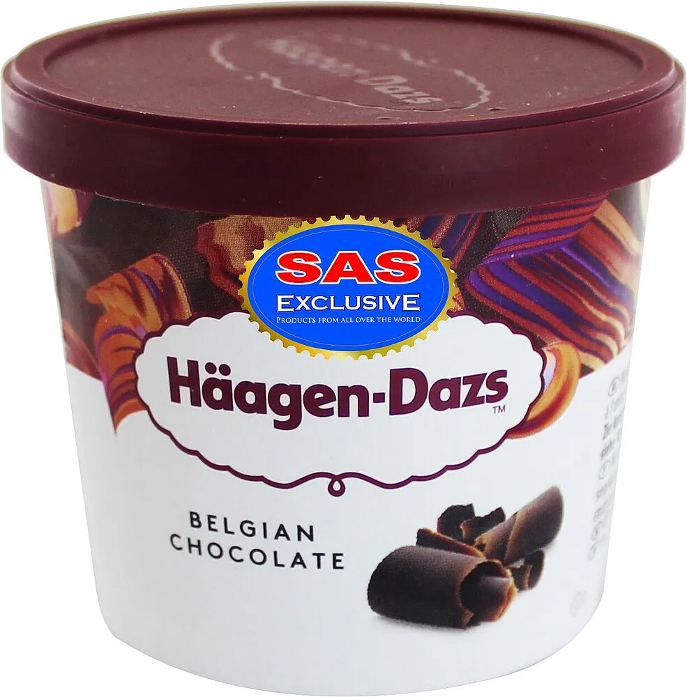 Chocolate ice cream "Haagen-Dazs Belgian Chocolate" 81g