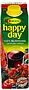 Multivitamin juice "Rauch Happy Day" 1l