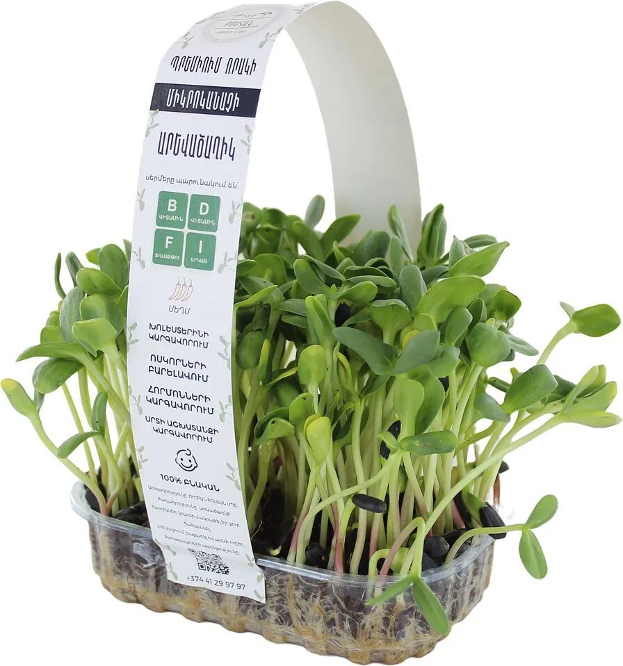 Microgreen sunflower "Bostan"
