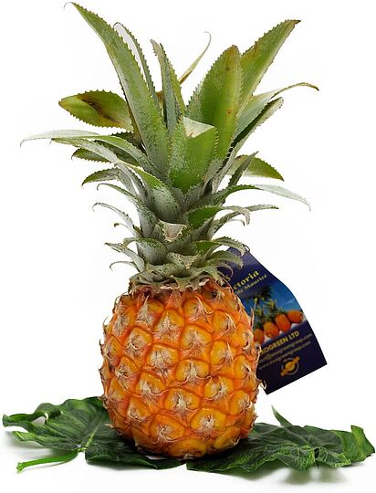 Mini pineapple 