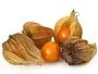 Physalis 100g (10-12pcs.)