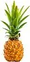 Mini pineapple