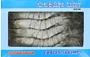 Frozen tiger shrimps "Ocean Bay" 1kg
