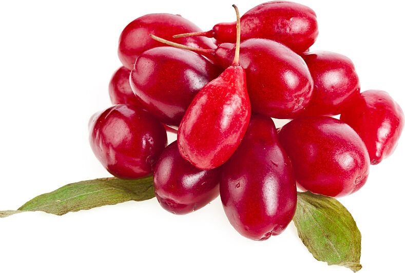 Cornlelian Cherry