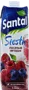 Berry juice ''Santal'' 1l 