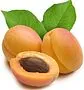 Apricot Arjanabat