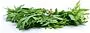Tarragon