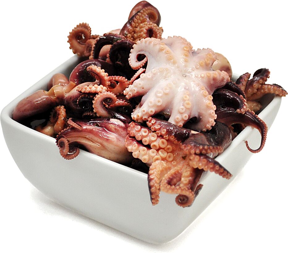 Octopus baby 