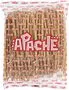 Salty sticks "Apache" 200g