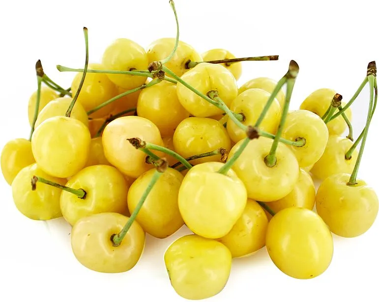White cherry 