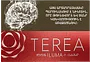 Տաքացվող ծխախոտի գլանակներ «TEREA SIENNA»
