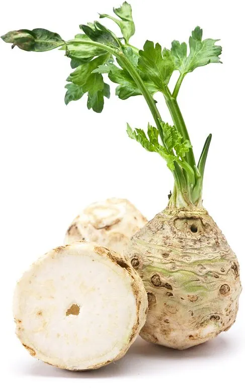 Celery root