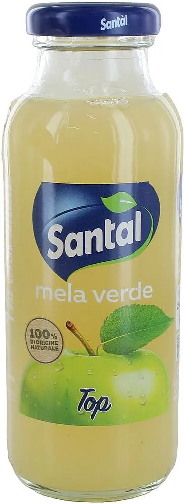 Apple juice "Santal" 0.25l 