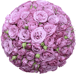 Floral Arrangement "Sedna" 