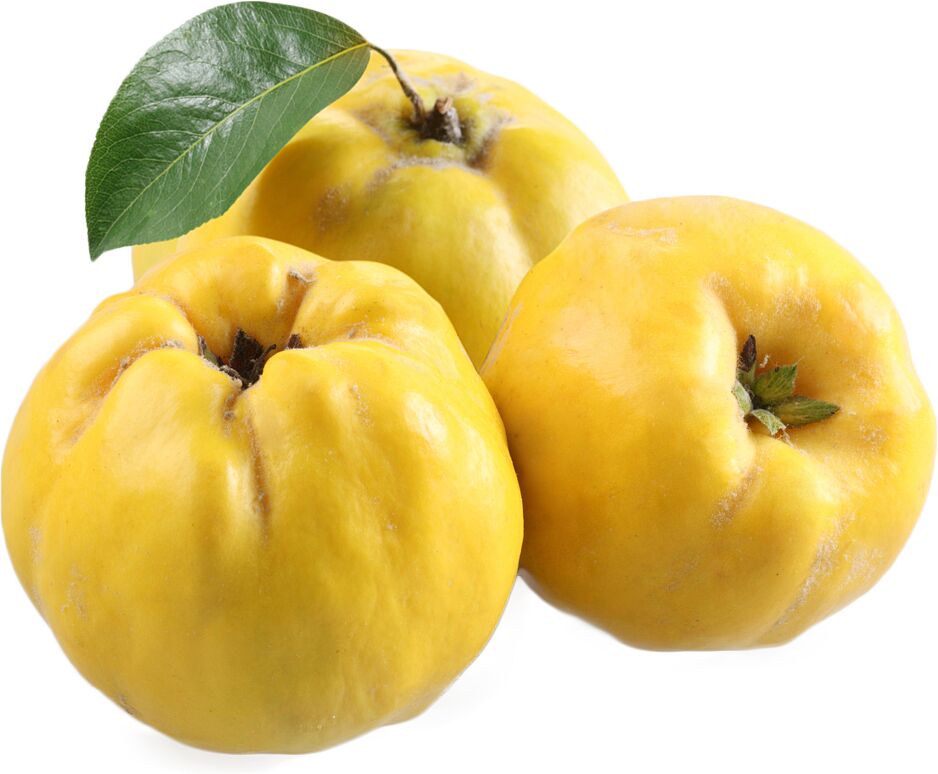 Quince of Megri 