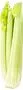 Celery stalk