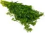 Dill