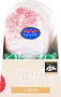 Lychee ice-cream "Friends of Asia Litschi" 75g