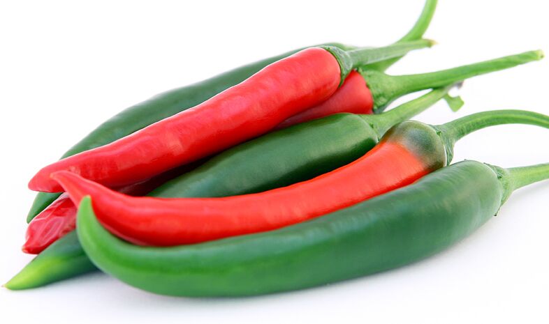 Chile pepper 