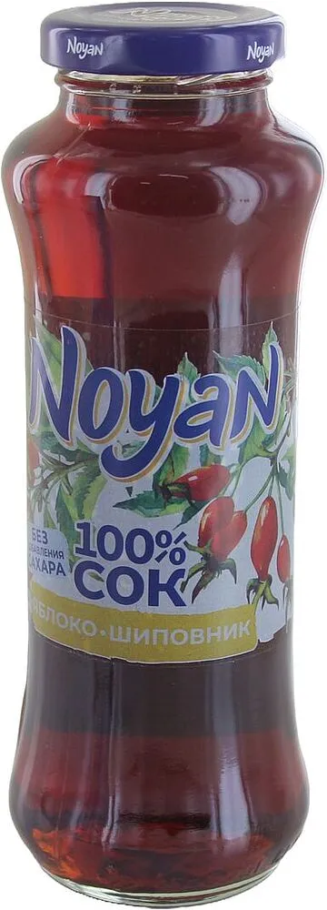 Juice "Noyan" 0,25l Apple & Rosehip
