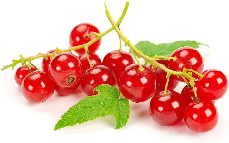 Կարմիր հաղարջ 125գ