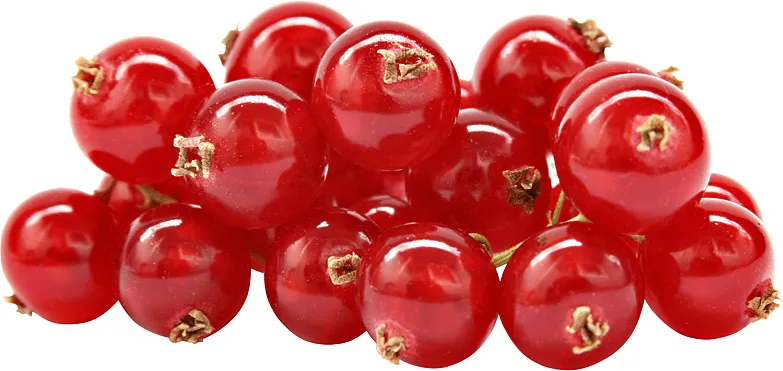 Currant 