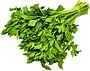 Celery