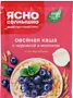Oatmeal porridge with blueberries & milk "Yasno Solnishko" 45g