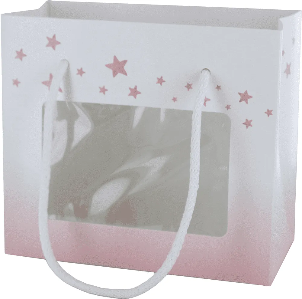 Gift bag
