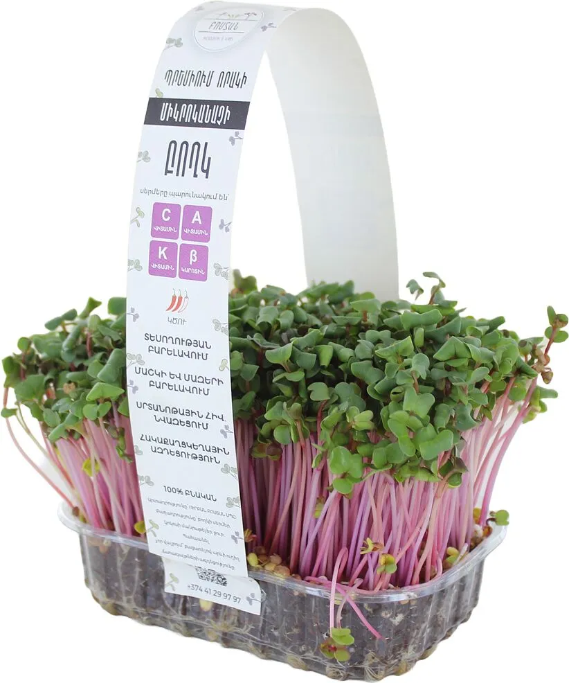 Microgreen radish "Bostan"
