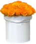 Ծաղկեփունջ «My Rose Marone»