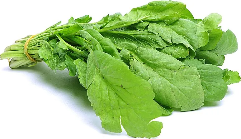 Կոտեմ 