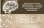 Տաքացվող ծխախոտի գլանակներ «TEREA BEIGE»