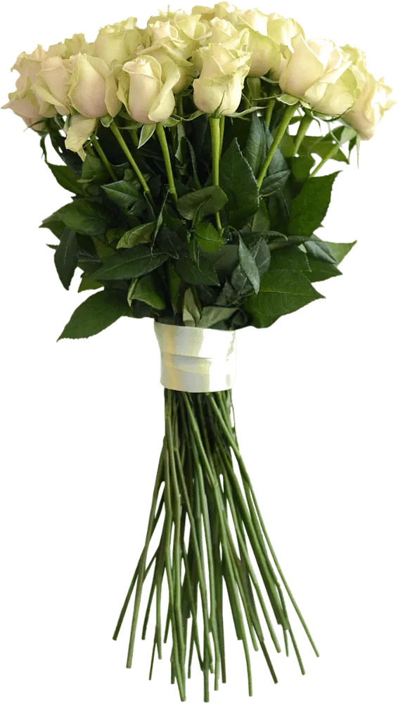 Ծաղկեփունջ «My Rose La Perla» 19 հատ