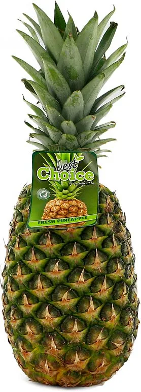 Pineapple Gold 