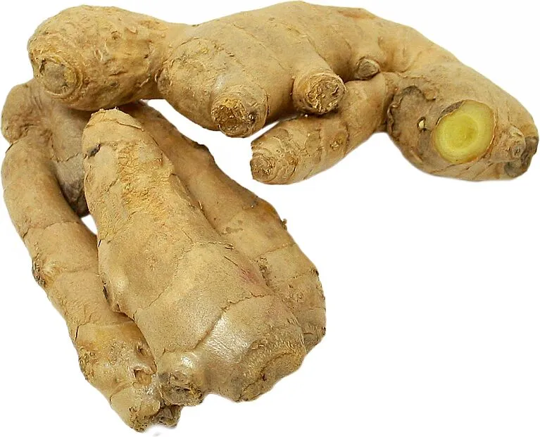 Ginger  