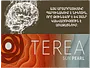 Տաքացվող ծխախոտի գլանակներ «TEREA Sun Pearl»
