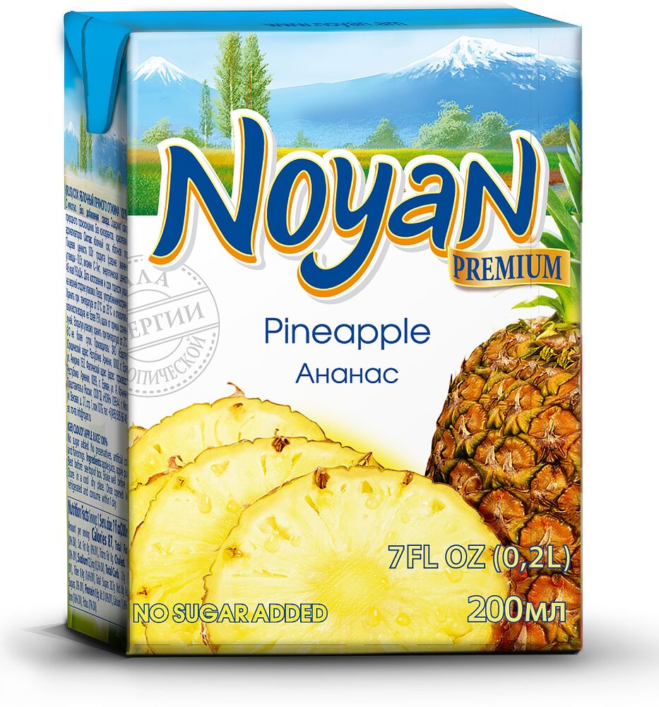 Nectar "Noyan" 200ml Pineapple