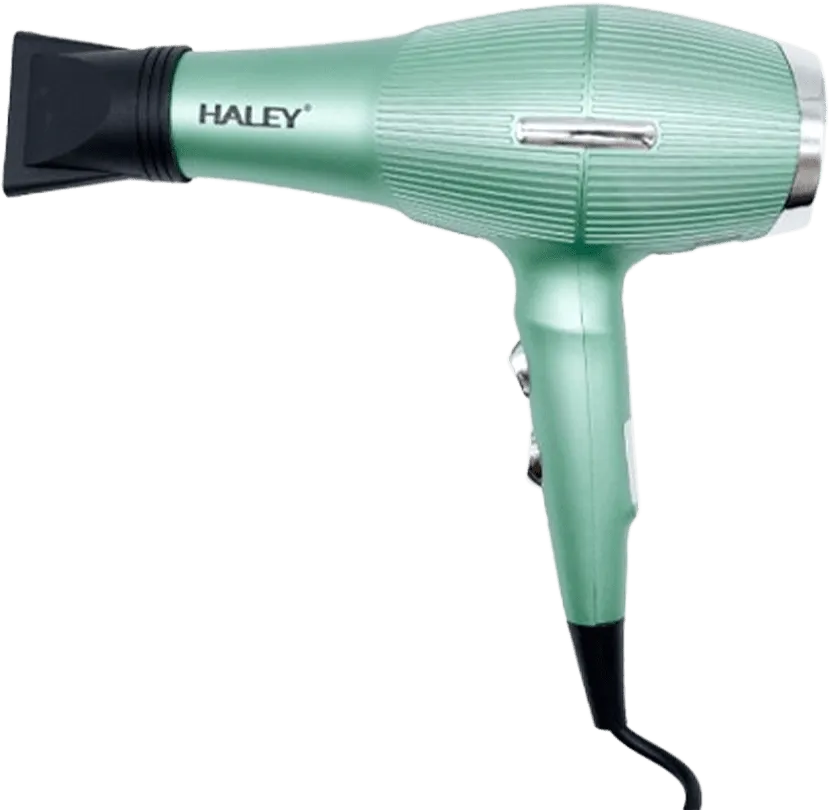 Hair dryer "Haley HY-4018"