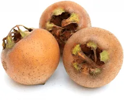 Զկեռ