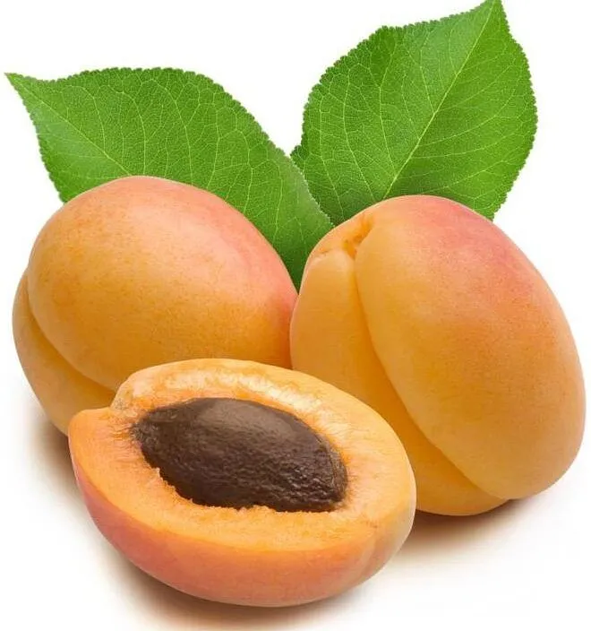Apricot Arjanabat