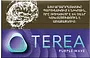 Տաքացվող ծխախոտի գլանակներ «TEREA PURPLE WAVE»
