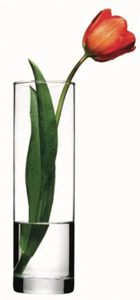 Glass vase "Pasabahce Flora"
