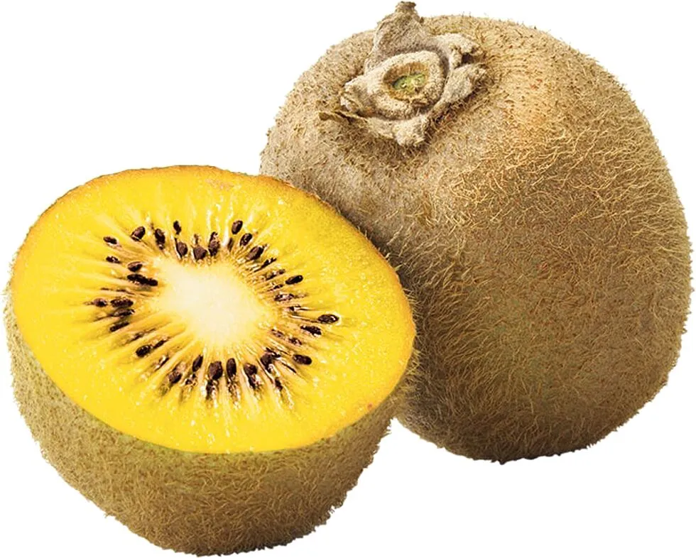 Kiwi "Gold"