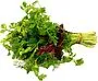 Mixed greens