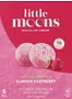 Mochi raspberry ice cream "Little Moons Summer Raspberry" 6*32g