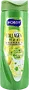 Shampoo "Hobby Collagen + Biotin" 480ml